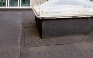 disadvantages of West Willoughby flat roofs