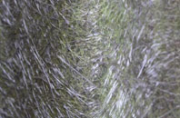 West Willoughby fibreglass roof work